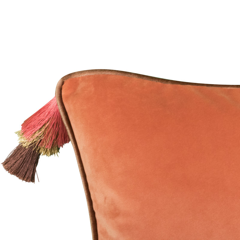 Edie Tassels Reversible Throw Pillow, TigerLily