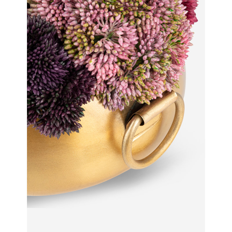 Beatrix Gold Sedum Arrangement