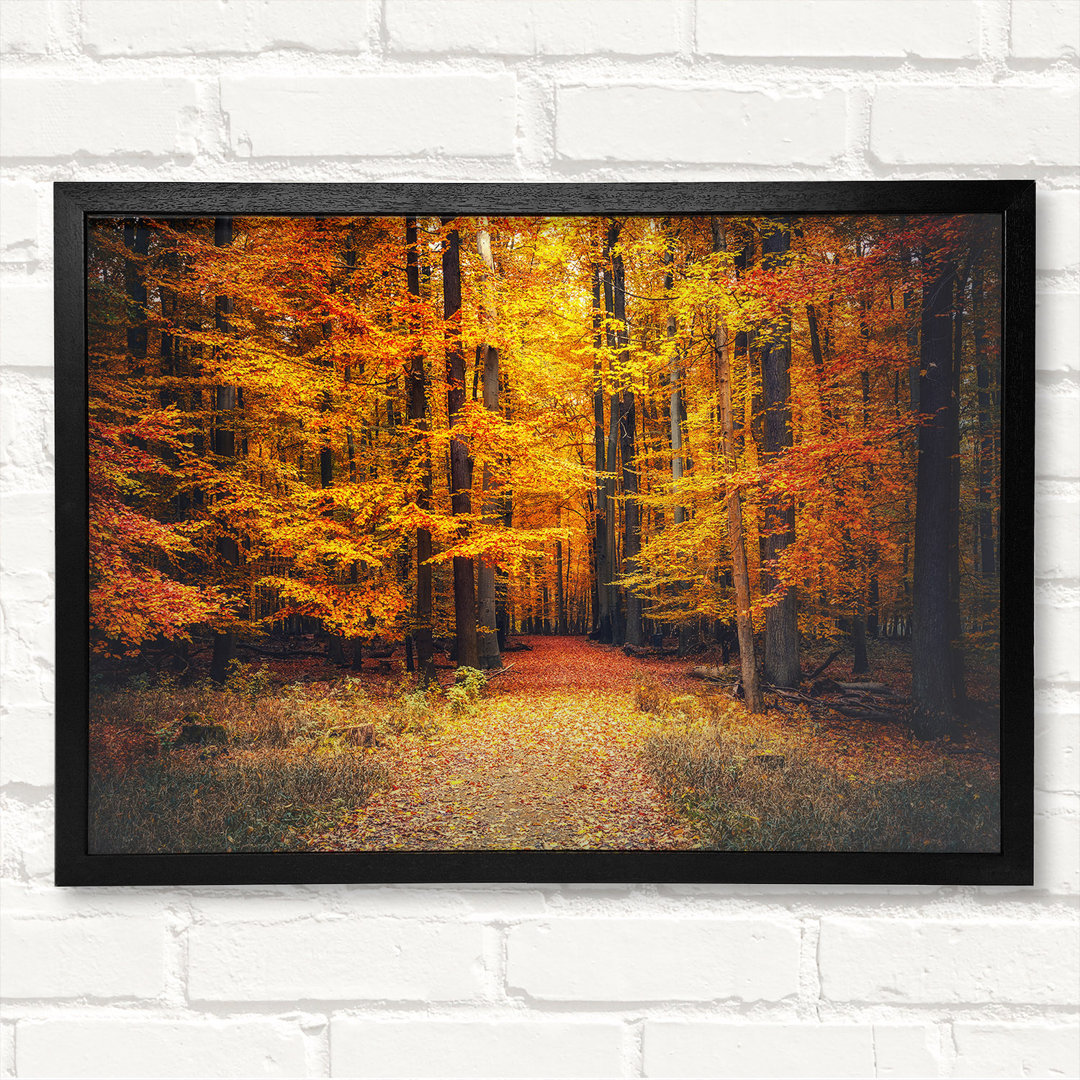 Orange Woods In The Autumn - Closed Corner Frame Kunstdrucke auf Holz