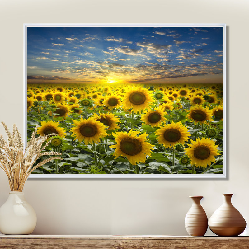 Field of Blooming Sunflowers' Photograph, 34" H x 44" W, Floater Framed, White