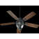 Schneider 52'' Ceiling Fan