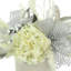 Arrangement d'hortensias dans un vase Quesada