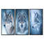 Photographie de loup en hiver - loup gris, décoration murale 3 pièces-129076103-129076107