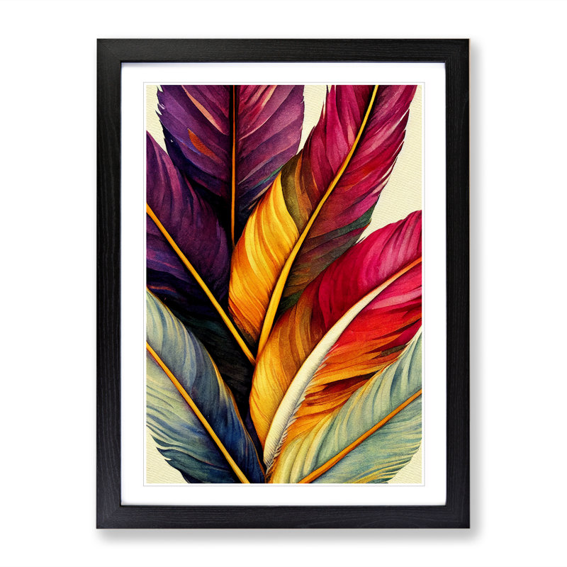 Beauteous Feathers - Single Picture Frame Print, 64cm H x 46cm W x 2cm D, Black Framed
