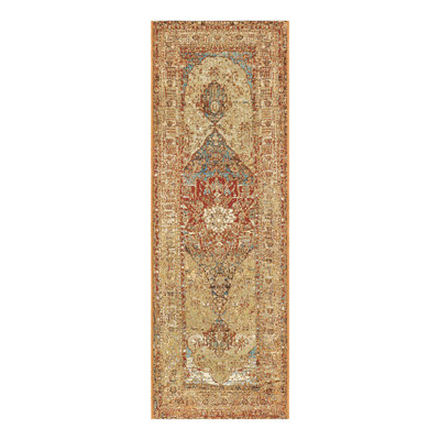 Indoor/Outdoor Traditional Area Rug