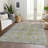 Machine Washable Indoor/Outdoor Xhevrie Aloe Rug-1507355501