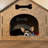 Eswin Cardboard Dog House