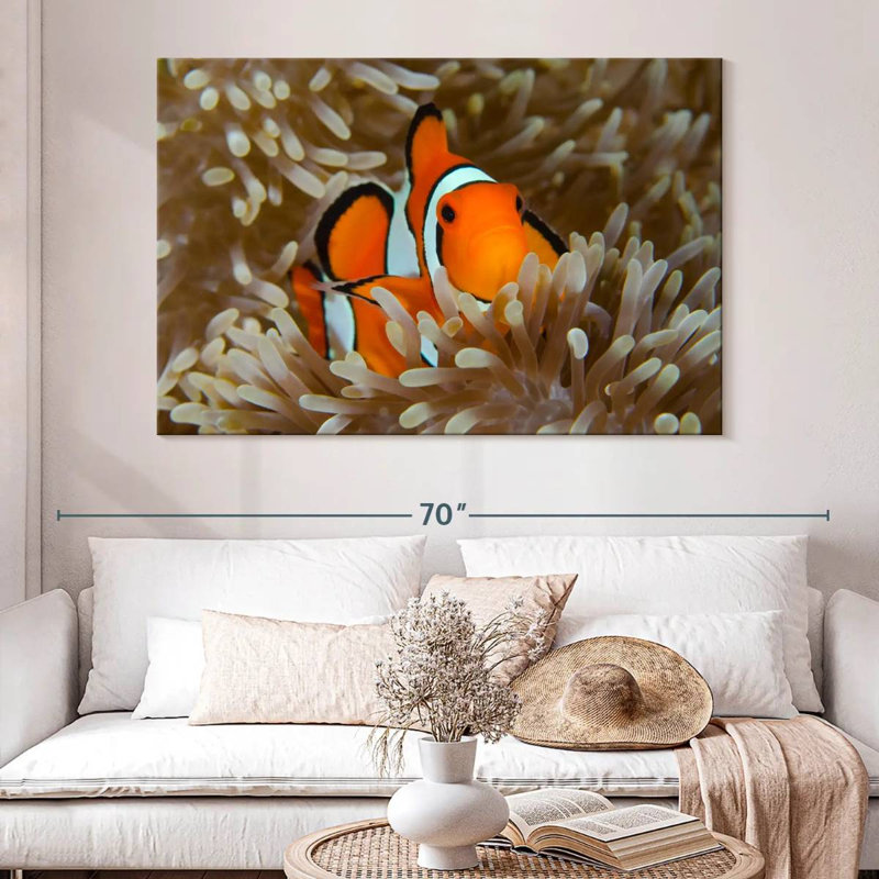 Brampt Wakatobi Anemonefish Pet, 34" H x 51" W