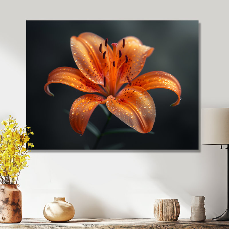 Orange orange, lis noir, photo de printemps IV - lys, art mural, Sans cadre, métal, H 24 po x l 32 po