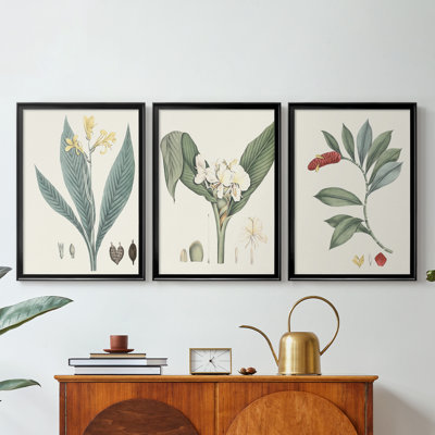 Soft Tropical IV  -Custom Framed  Wrapped Gallery Canvas - 3 Pieces