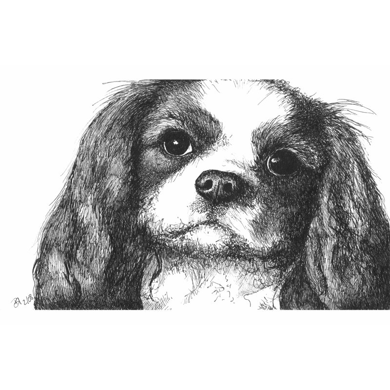 Louie The Cavalier King Charles by Beth Thomas - Wrapped Canvas Print, 30cm H x 46cm W