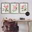 Assortiment de 3 giclées encadrées de fleurs roses assorties, design par Nan-114317312-114317311
