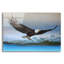 Art mural en verre épique «Bald Eagle Mountain» par Jim Brune, 24 po x 16 po-1041052886