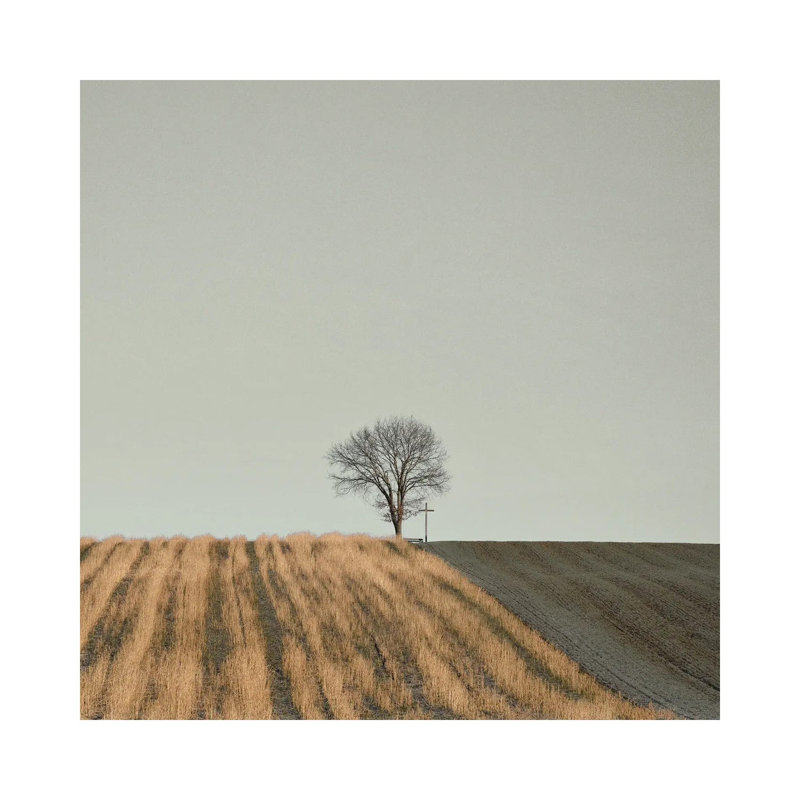 1 Piece Wall Art on Canvas, 66.04 cm H x 66.04 cm W x 3.175 cm D, Wrapped Canvas