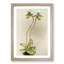 Magnolia Flowers Illustration Tab. 23 by Frederick Sander - Picture Frame Painting Print-55759159-55759162
