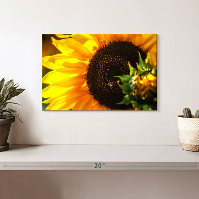 Harnek magnifique tournesol