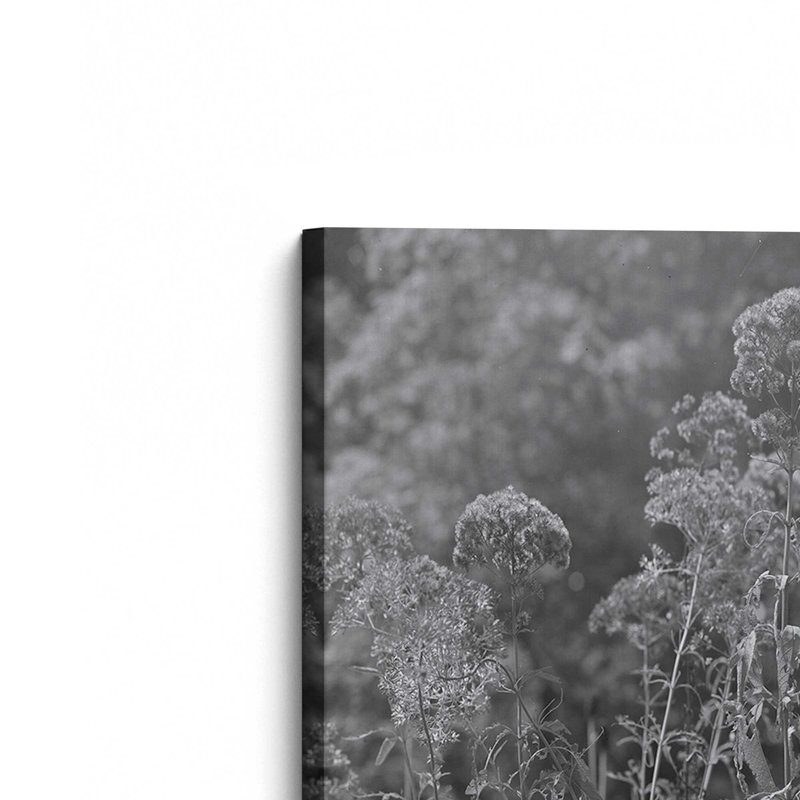 «Joe Pye Weed» par Tony Smith, reproduction d'art sur toile, H 48 po x l 32 po