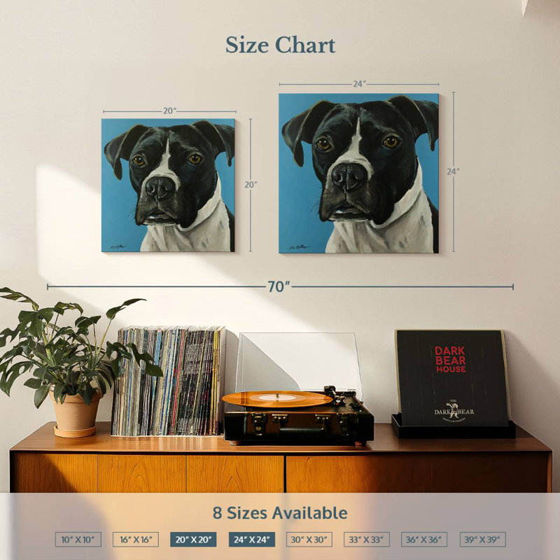 Brampt Boxer Black Boxer, 24" H x 24" W