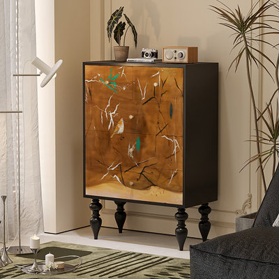 Armoire de rangement de salon de style français