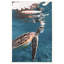 Blowing Bubbles Print by Blakesberg Paragon