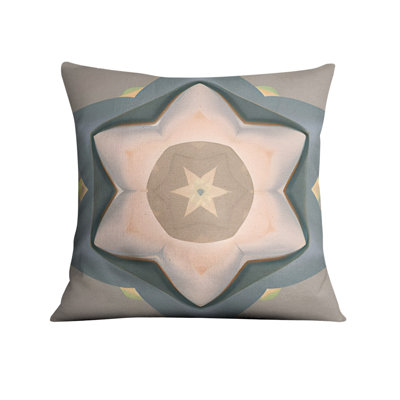 Throw Pillow Cover Only