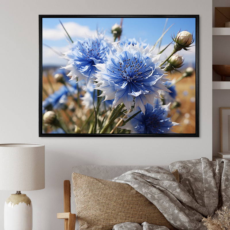 " Cornflowers Field I ", Black Floater Framed, 30" H x 40" W x 1.5" D