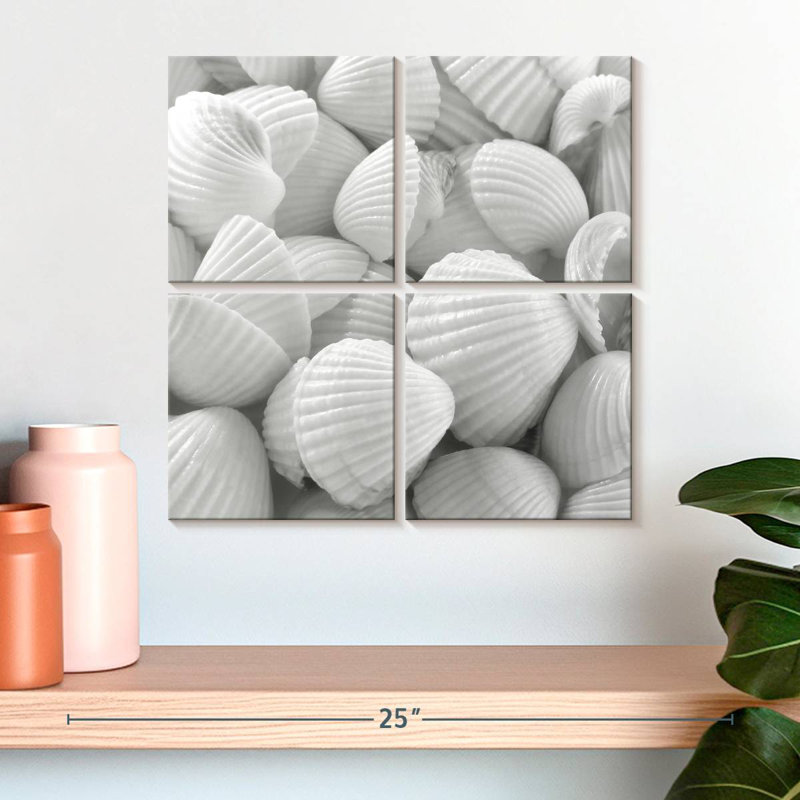 Aletra White Shells, 18" H x 18" W