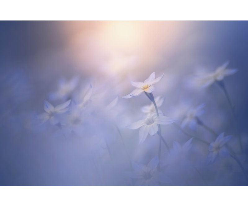Wrapped Canvas Print, 60.96 cm H x 91.44 cm W