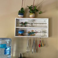 Aariah Floating Shelf with Hooks August Grove