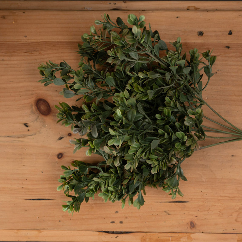 Leaf Spray