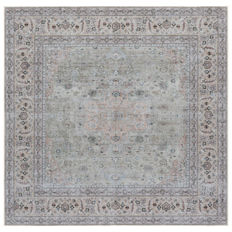 Tucson 222 Performance Machine Washable Oriental Rug, Square 6'