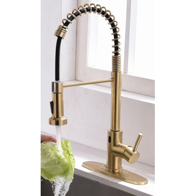 HHK HOME Pull Down Kitchen Faucet