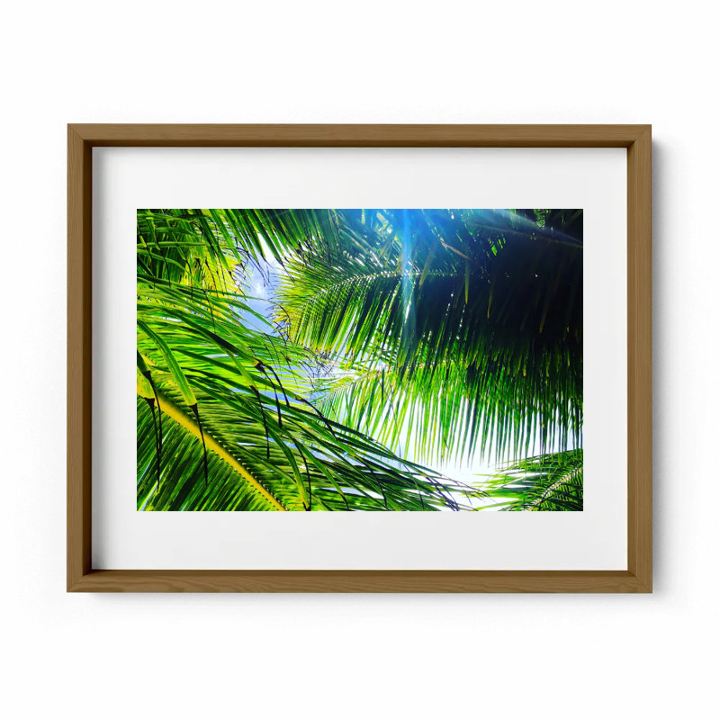 Light Breeze Print by Joseph Regan, Walnut, 26" H x 36" W x 0.75" D