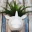 Planter-607660526