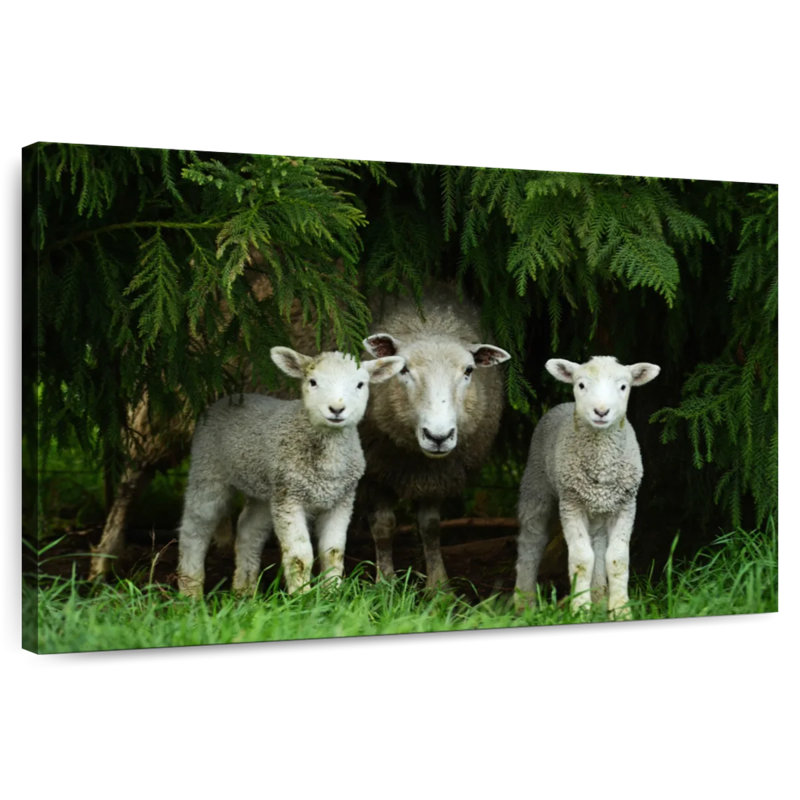Sheep Family, 16" H x 24" W