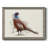 " Pheasant Splash 5 " Painting Print-645244921-645244897