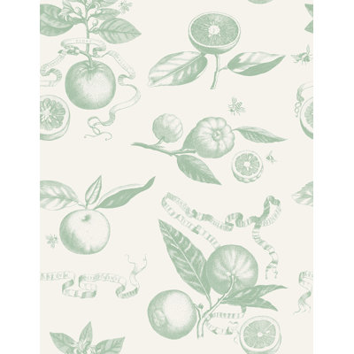 Citrus Toile 33' L x 20.5" W  Wallpaper Roll