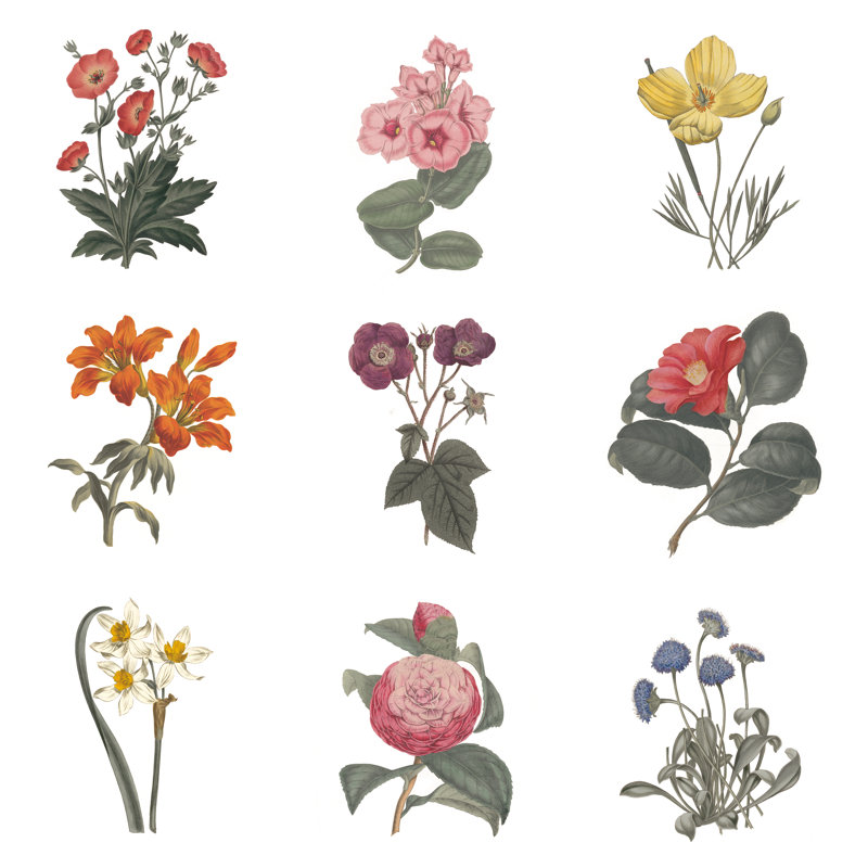 Monument Etching Tile Flowers II White by Wild Apple Portfolio - Wrapped Canvas Painting, 91cm H x 91cm W