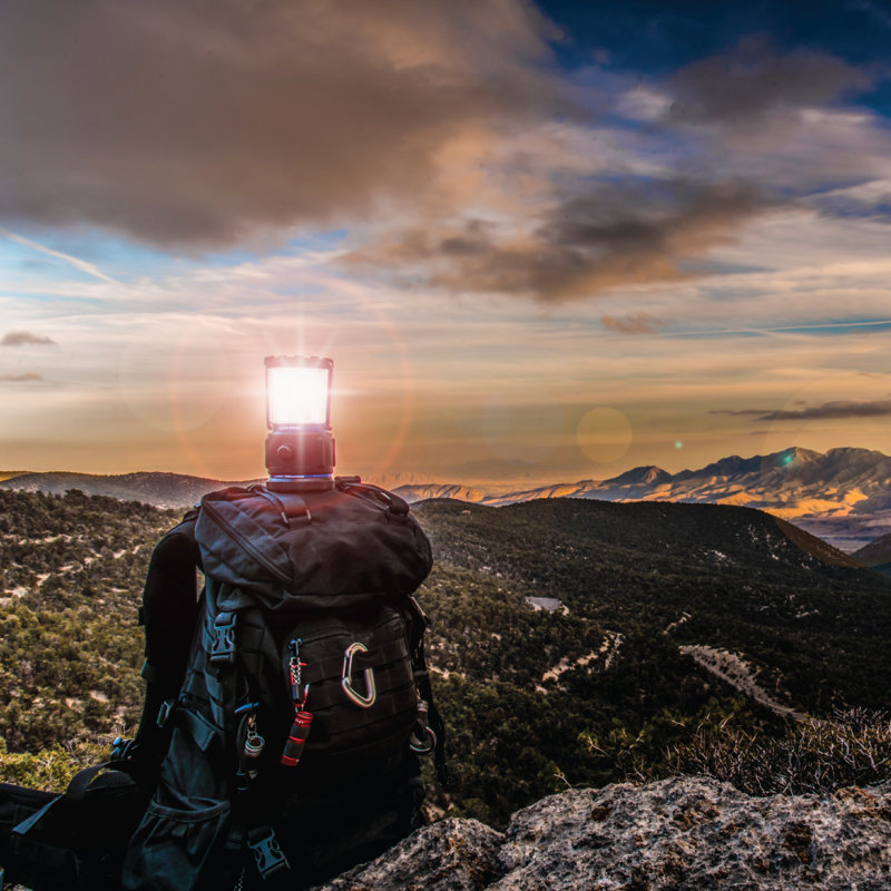 6.7'' Battery Powered Integrated LED Outdoor Lantern