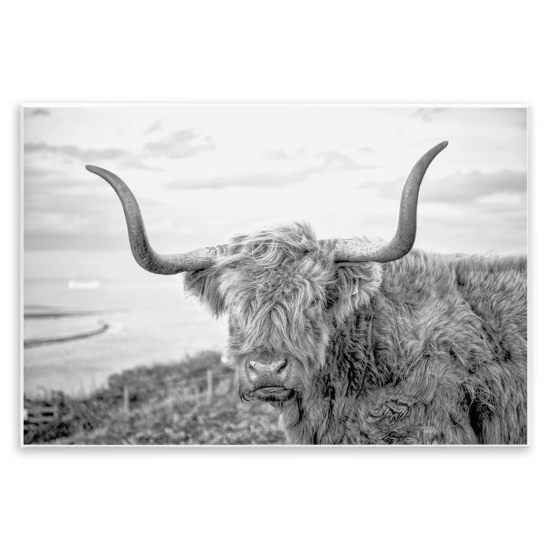 Art traditionnel sur plaque de bovin flou traditionnel par Jasper Huish, H 10 po x l 15 po