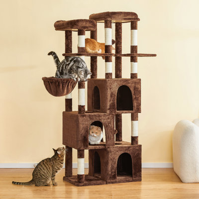 Dandry 70.1'' H Cat Tree