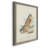" Hawk Owl " Painting-244512998-244512993