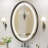 Vinia Oval LED Lighted Bathroom Vanity Mirror Dimmable and Anti-Fog Wall Mirror-1768762567-1772124167