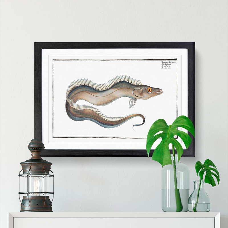 Sword-Fish by M.E. Bloch - Picture Frame Art Print, 27cm H x 36cm W x 2cm D, Black Framed