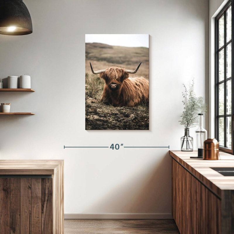 Brampt Still Highland Cow, H 36 po x l 24 po