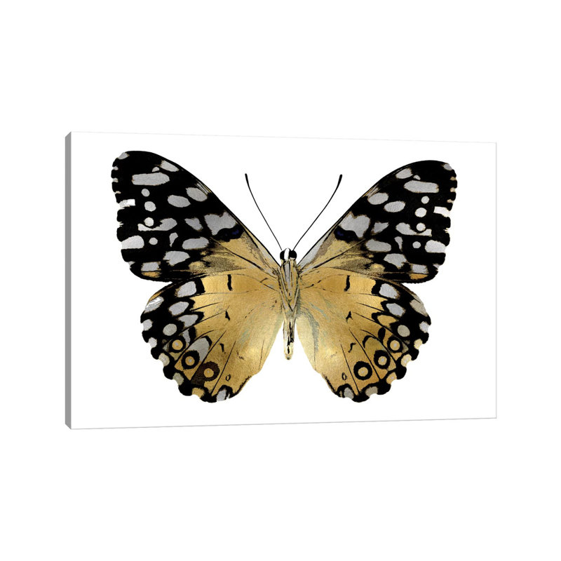 Golden Butterfly IV by Julia Bosco - Gallery-Wrapped Canvas Giclée on Canvas, Wrapped Canvas, 20.32cm H x 30.48cm W x 1.9cm D