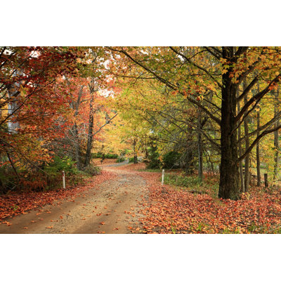 Country Road Meandering Through Trees With Autumn Foliage by Lovleah - Wrapped Canvas Print