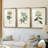 Antique Turpin Botanical VII  -Custom Framed  Premium Print W Matt - 3 Pieces-1392100442-1392100433