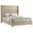 Rohnan 61-inch Upholstered Queen Wingback Bed Beige-114385233-96122306