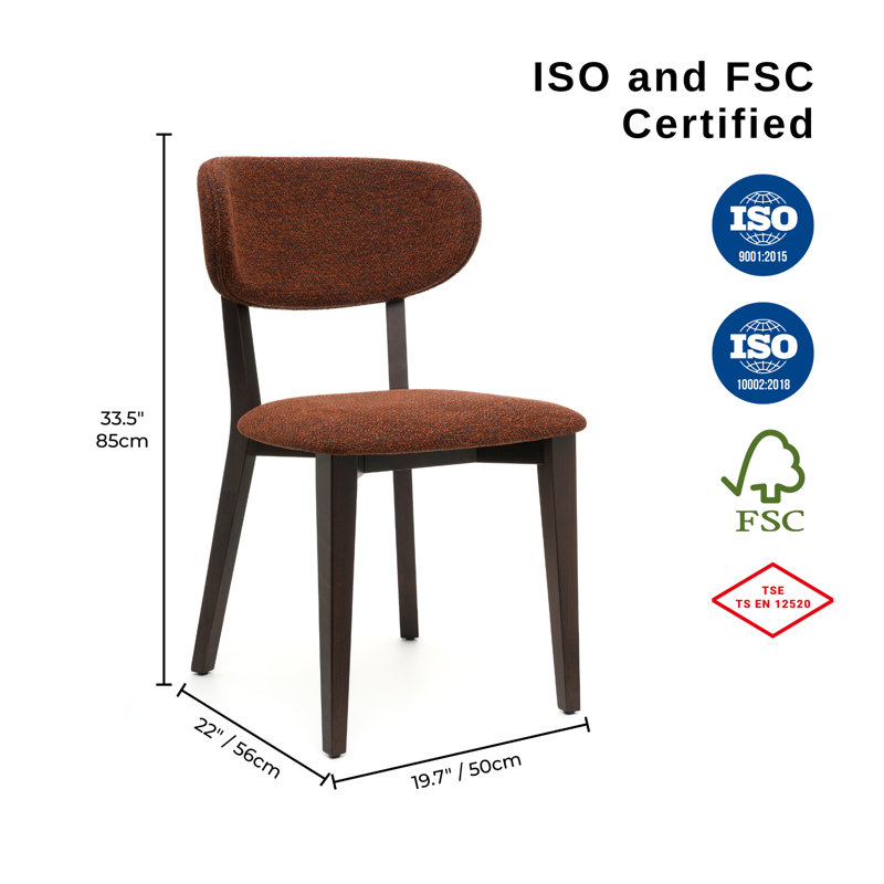 Rapsodi Wooden Dining Chairs Mid Century Upholstered Modern Kitchen Table Chairs for Room Furniture with Durable Premium Ergonomic Design (Rapsodi, First-grade beech wood)